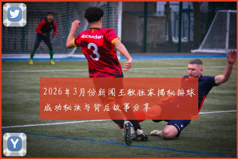 2026年3月份新闻王敏独家揭秘排球成功秘诀与背后故事分享